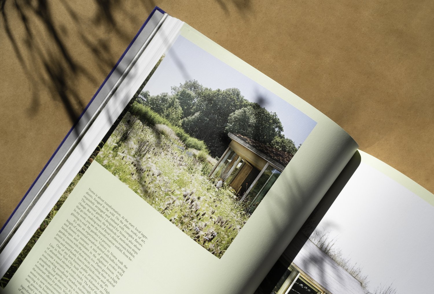 Noma 2.0 : Vegetable, Forest, Ocean