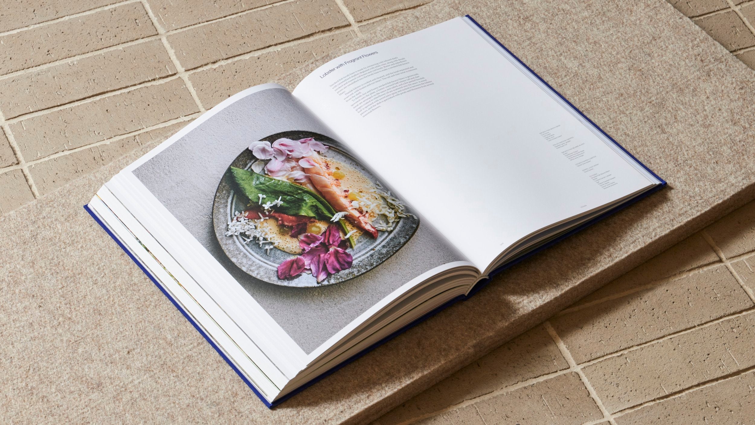 Noma 2.0 : Vegetable, Forest, Ocean