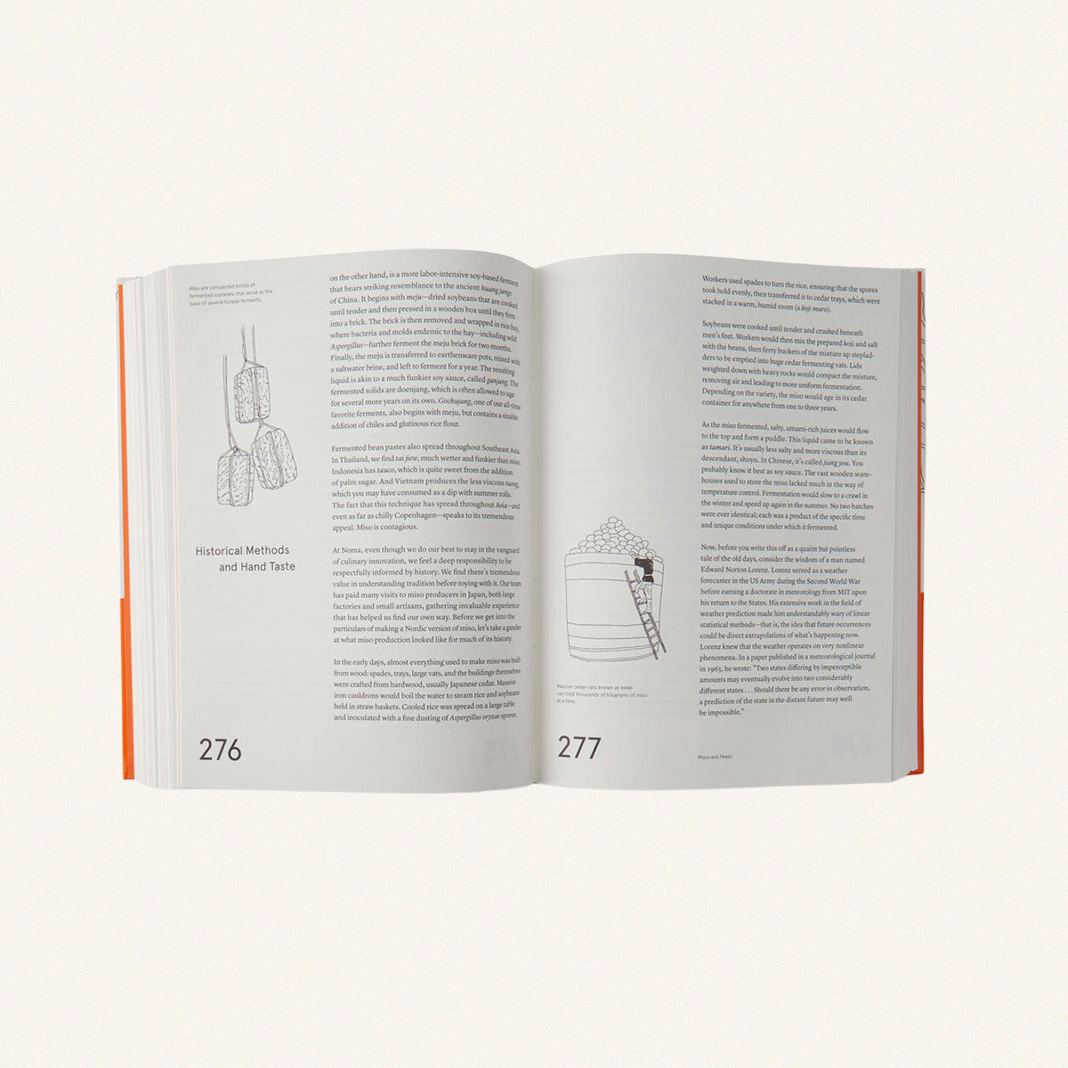 The Noma Guide to Fermentation – Hans Andy Design Shop