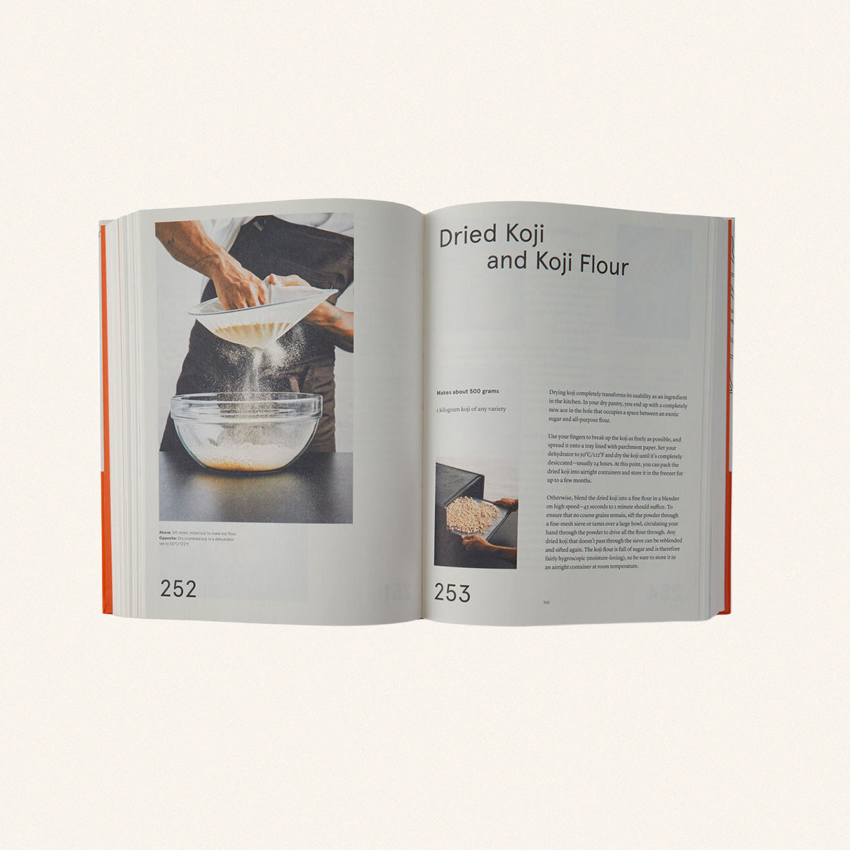 The Noma Guide to Fermentation